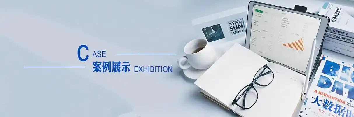 天峻县软件开发